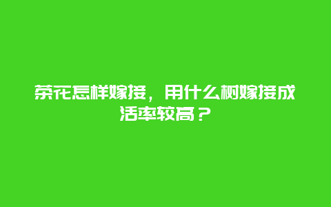 茶花怎样嫁接，用什么树嫁接成活率较高？_http://www.zhongzhihu.com_农业百科_第1张