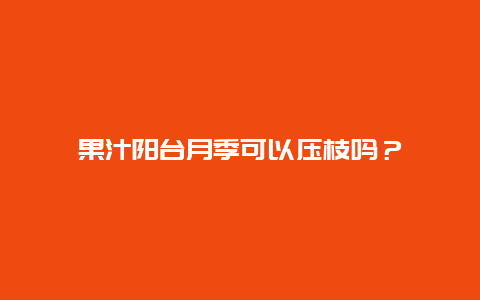 果汁阳台月季可以压枝吗？