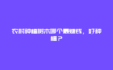 农村种植树木哪个最赚钱，好种植？