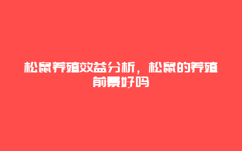 松鼠养殖效益分析，松鼠的养殖前景好吗