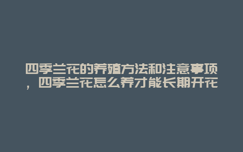 四季兰花的养殖方法和注意事项，四季兰花怎么养才能长期开花