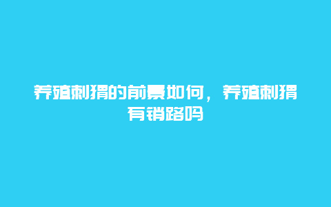 养殖刺猬的前景如何，养殖刺猬有销路吗