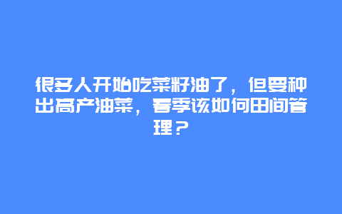 很多人开始吃菜籽油了，但要种出高产油菜，春季该如何田间管理？