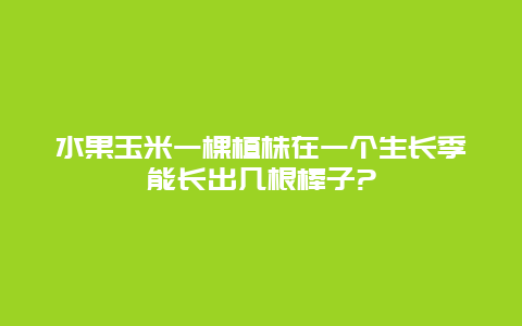 水果玉米一棵植株在一个生长季能长出几根棒子?