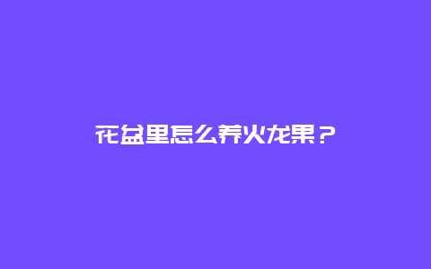 花盆里怎么养火龙果？