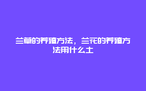 兰草的养殖方法，兰花的养殖方法用什么土