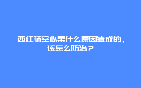 西红柿空心果什么原因造成的，该怎么防治？