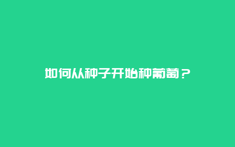 如何从种子开始种葡萄？