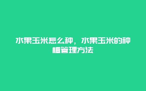 水果玉米怎么种，水果玉米的种植管理方法