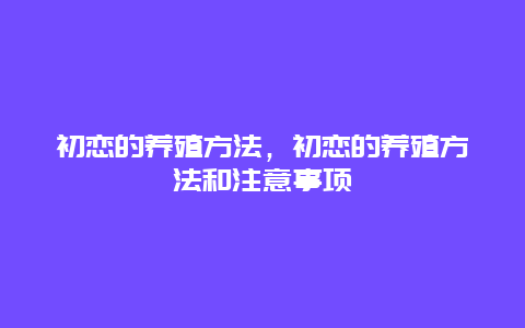 初恋的养殖方法，初恋的养殖方法和注意事项