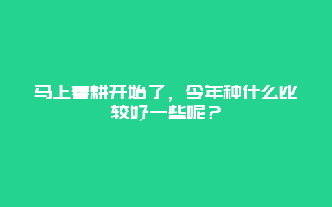 马上春耕开始了，今年种什么比较好一些呢？