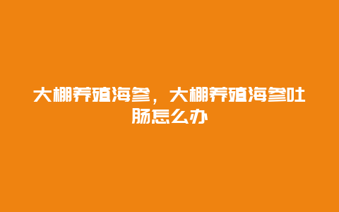 大棚养殖海参，大棚养殖海参吐肠怎么办