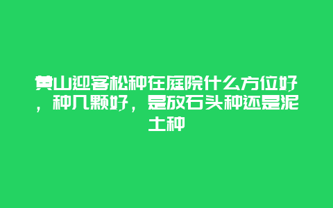 黄山迎客松种在庭院什么方位好，种几颗好，是放石头种还是泥土种