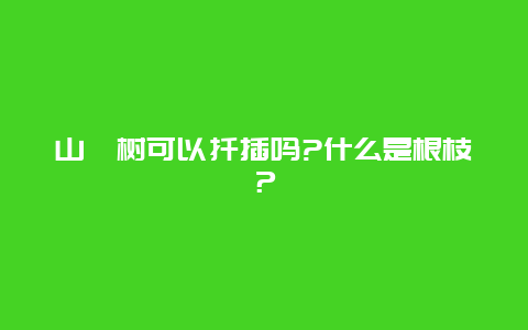 山楂树可以扦插吗?什么是根枝？