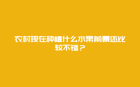 农村现在种植什么水果前景还比较不错？