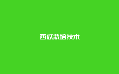 西瓜栽培技术