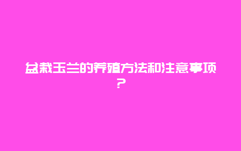 盆栽玉兰的养殖方法和注意事项？