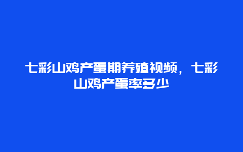 七彩山鸡产蛋期养殖视频，七彩山鸡产蛋率多少