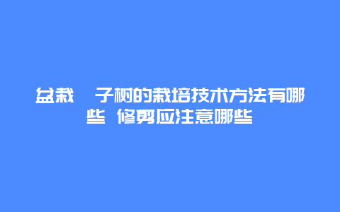 盆栽桔子树的栽培技术方法有哪些 修剪应注意哪些