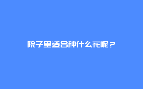 院子里适合种什么花呢？