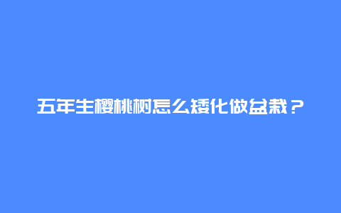 五年生樱桃树怎么矮化做盆栽？