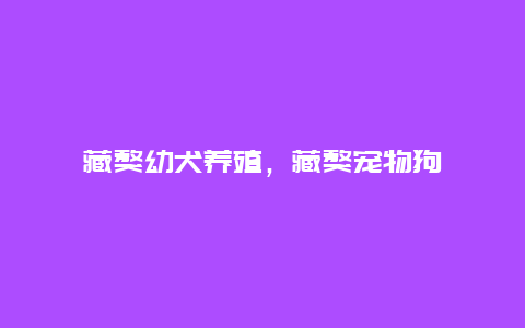 藏獒幼犬养殖，藏獒宠物狗