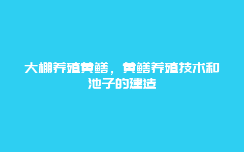 大棚养殖黄鳝，黄鳝养殖技术和池子的建造