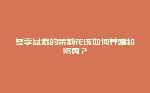 冬季盆栽的茉莉花该如何养殖和修剪？