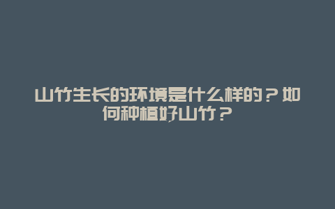 山竹生长的环境是什么样的？如何种植好山竹？