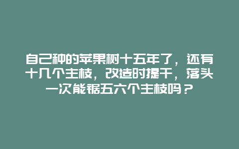 自己种的苹果树十五年了，还有十几个主枝，改造时提干，落头一次能锯五六个主枝吗？