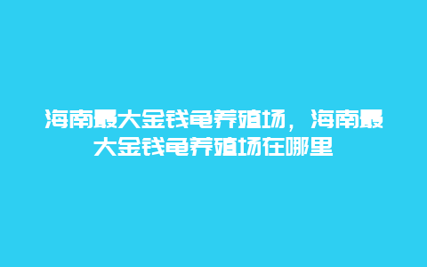 海南最大金钱龟养殖场，海南最大金钱龟养殖场在哪里