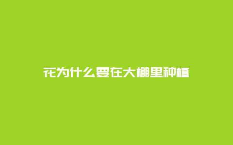 花为什么要在大棚里种植