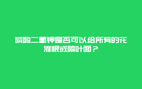 磷酸二氢钾是否可以给所有的花灌根或喷叶面？