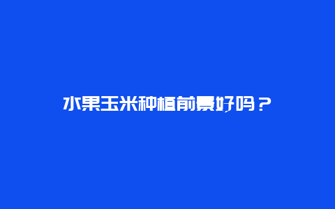 水果玉米种植前景好吗？