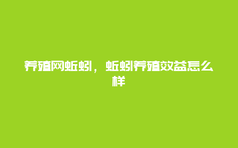 养殖网蚯蚓，蚯蚓养殖效益怎么样