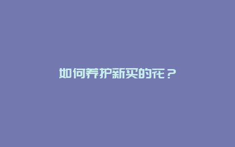 如何养护新买的花？