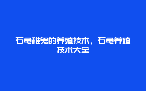 石龟稚鬼的养殖技术，石龟养殖技术大全