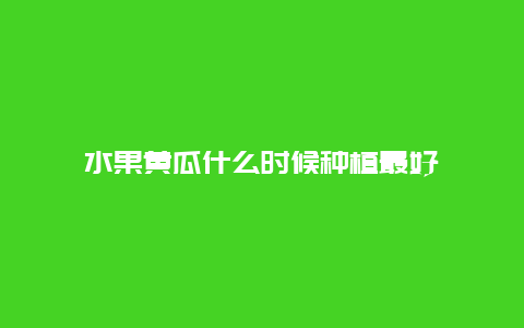 水果黄瓜什么时候种植最好