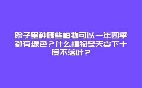 院子里种哪些植物可以一年四季都有绿色？什么植物冬天零下十度不落叶？