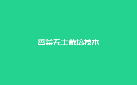 香菜无土栽培技术