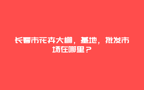 长春市花卉大棚，基地，批发市场在哪里？