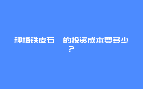 种植铁皮石斛的投资成本要多少?