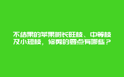 不结果的苹果树长旺枝、中等枝及小短枝，修剪的要点有哪些？