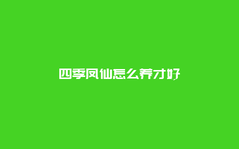 四季凤仙怎么养才好