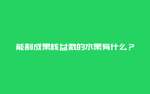 能制成果核盆栽的水果有什么？