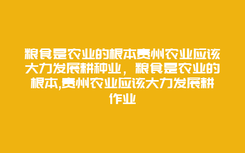 粮食是农业的根本贵州农业应该大力发展耕种业，粮食是农业的根本,贵州农业应该大力发展耕作业