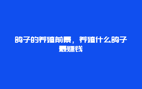 鸽子的养殖前景，养殖什么鸽子最赚钱