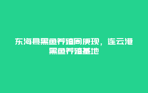 东海县黑鱼养殖周庚现，连云港黑鱼养殖基地