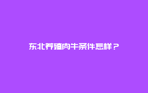 东北养殖肉牛条件怎样？