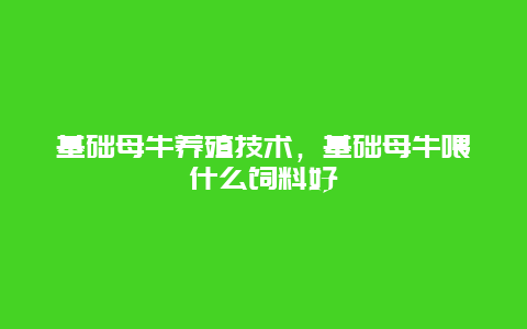 基础母牛养殖技术，基础母牛喂什么饲料好